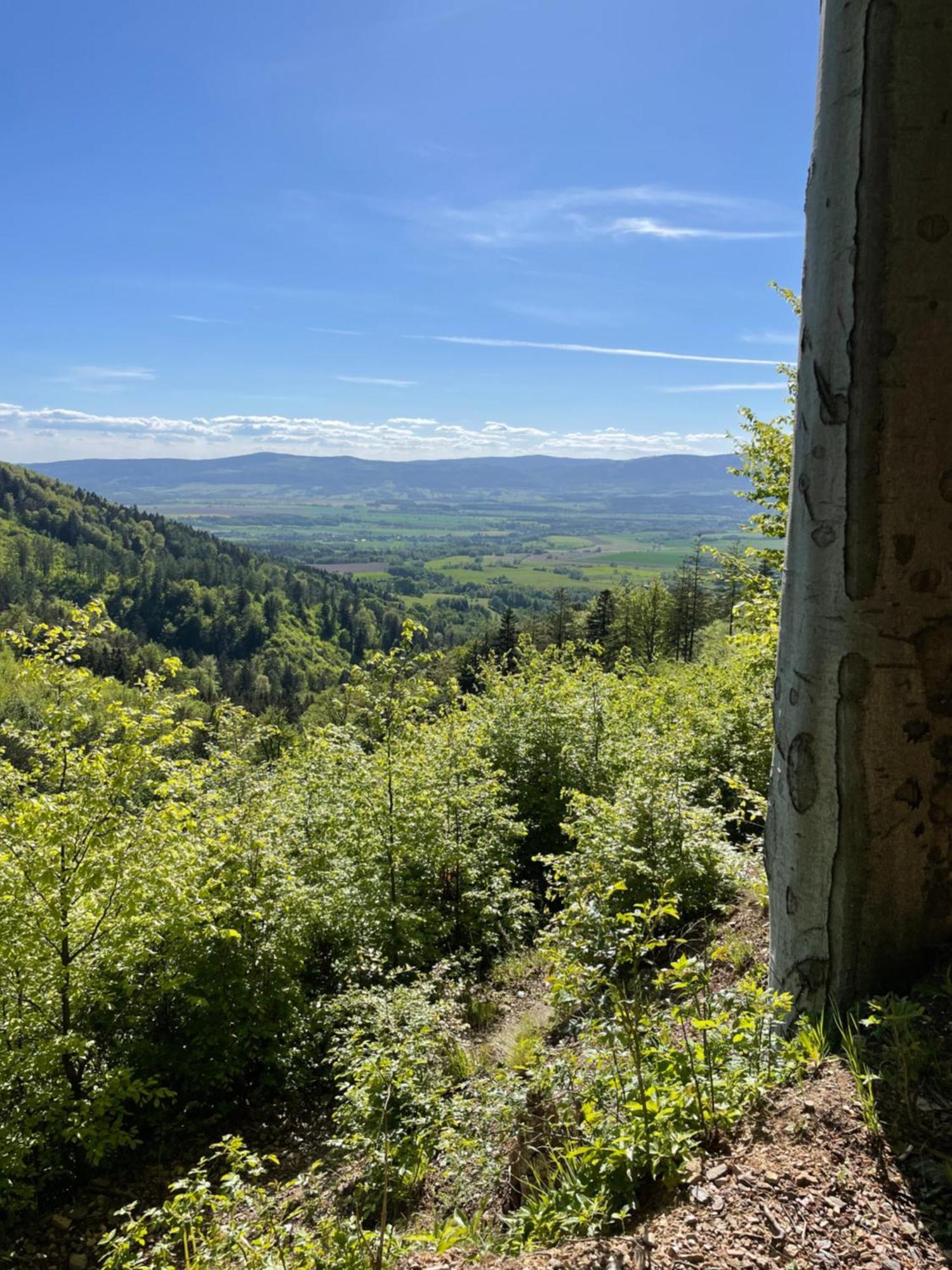 Swierkowy Zakatek Idzikow Exteriör bild